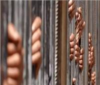 السجن سنة لـ 14 متهمًا في «معركة الوسية» بالإسكندرية