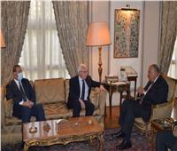 وزير الخارجية: مصر ستظل دائماً داعمة لكافة الحقوق الفلسطينية
