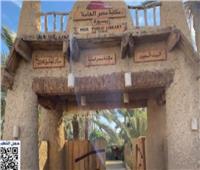 «مكتبة مصر العامة» تكشف تفاصيل أول مكتبة خضراء في سيوة