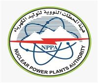 الثلاثاء.. انطلاق المنتدى العربي السادس حول توليد الكهرباء وتحلية مياه البحر بالطاقة النووية