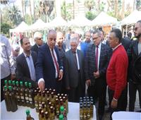 افتتاح أول مهرجان للزيتون في مصر بحديقة الأورمان بمشاركة عربية| صور