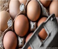 هل يفقد البيض المسلوق قيمته الغذائية بعد تجميده؟