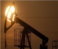 برلماني: سقف أسعار النفط الروسي يؤدي إلى ارتفاع هائل في أسعار الوقود