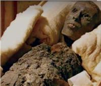 خبير آثار يكشف لغز أختام مقبرة توت عنخ آمون.. صور