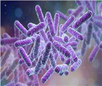 «دراسة»: مادة سامة تقتل البكتيريا بطرق غير مسبوقة