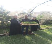الزراعة تصدر توصيات لمزارعي مشاتل الخضر بالإسكندرية