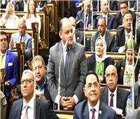برلمانية: ضرورة وضع استراتيجية متكاملة للنهوض بالصناعات المصرية