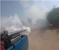 استمرار حملات مكافحة البعوض والذباب في سفاجا