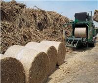 البيئة: وضع تصور لاستخدام المخلفات كبدائل لقش الأرز في إنتاج «البيوجاز»