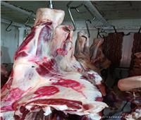 حملات بيطرية على محال الجزارة والمطاعم ومنافذ بيع اللحوم بالإسماعيلية 