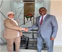 سفارتنا في هراري تنظم اجتماعاً افتراضياً بين رجال الأعمال في مصر وزيمبابوي