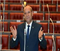 برلماني يثمن تصريحات السيسي حول موقف مصر الثابت من قضية فلسطين