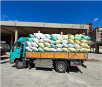 توريد أكثر من 61 ألف طن من الأرز الشعير لمواقع التجميع بالشرقية 