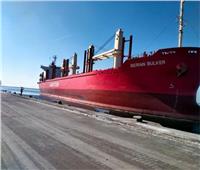 تداول 108 آلاف طن بضائع استراتيجية بميناء الإسكندرية  