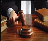 استماع هيئة المحكمة لشهادة أقارب ولاء زايد في قضية «صيدلي حلوان»
