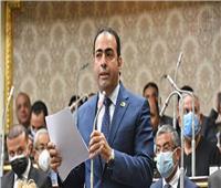 مصر في المونديال القادم.. رئيس شباب النواب يكشف تفاصيل لقاءه برئيس الاتحاد الإفريقي لكرة القدم ‎‎
