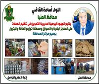محافظ المنيا يتابع الرقابة على الأسواق وتحرير 79 مخالفة متنوعة