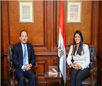 المشاط: القطاع الخاص لديه فرص واعدة للاستثمار بمصر