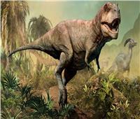 اكتشاف أول واقعة في التاريخ لحيوان ثديي يفترسه ديناصور