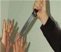 ضبط المتهمين في مشاجرة بـ«السكاكين» في الدقهلية 