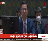 مندوب الصين بمجلس الأمن: يجب وضع حد للهجمات التركية والإسرائيلية على سوريا