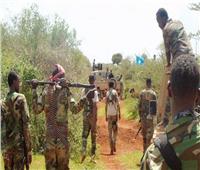الجيش الصومالي يستعيد آخر مديرية في محافظة شبيلي الوسطى