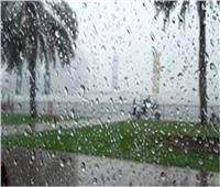 سقوط أمطار على حدائق الأهرام والسيدة زينب وساقية مكي