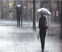 الأرصاد: سقوط أمطار غزيرة غدا على السواحل الشمالية الشرقية وشمال سيناء