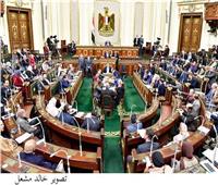 برلمانية: افتتاح الرئيس للمشروعات الكيماوية في أبو رواش يسهم في زيادة المنتج المحلي