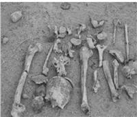 شراء عظام بشرية تاريخها 60 ألف عام للهو الأطفال 