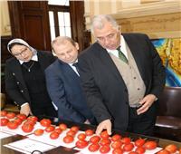 البرنامج الوطني لإنتاج التقاوي يستعرض هجن الطماطم المحلية