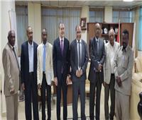 بحث التعاون الثاني بين مصر والسودان في مجال التعليم والبحث العلمي