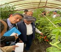 الزراعة : يوم حقلي لتقييم "طماطم" البرنامج الوطني لإنتاج تقاوي الخضر
