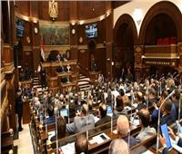 برلماني: المصريون بالخارج يحققون الكثير من النجاحات على المستوى العلمي