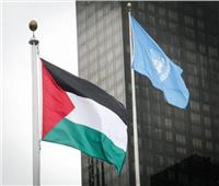 منظمة التعاون الإسلامي ترحب بقرارات الجمعية العامة للأمم المتحدة حول فلسطين