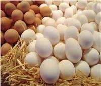 استقرار أسعار البيض في اليوم الأول من العام الجديد 