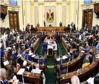 «تضامن النواب»: السلطة التشريعية مستعدة لتسهيل مهمة المجتمع المدني