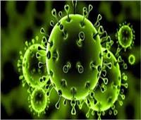 أستاذ علم انتشار الأوبئة: فيروس «يوم القيامة» متحور فرعى عن أوميكرون
