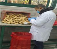 الزراعة تستعرض تقريرًا حول أعمال مشروع مكافحة العفن البني في البطاطس