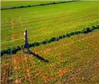 نقيب الزراعيين: 2.5 مليون نسمة استفادوا من «حياة كريمة» بـ سوهاج