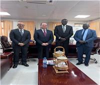 سفير مصر في جنوب السودان يلتقي وزير العمل