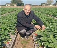 عميد زراعة طنطا: 10 توصيات لمزارعي الخضر خلال الفترة الحالية |خاص