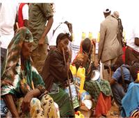 «شابيلا»: حركة الشباب الصومالية استخدمت الدين كغطاء سياسي للإرهاب