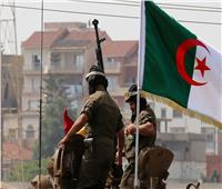 جيش الجزائر يعلن ضبط 13 عنصر دعم للجماعات الإرهابية 