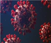 «أخصائي باطنة» يوضح 3 إجراءات لمكافحة فيروس كورونا