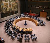 مجلس الأمن الدولي يدعم عملية السلام الكولومبية