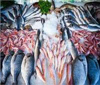 استقرار أسعار الأسماك في سوق العبور اليوم 14 يناير