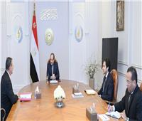 الرئيس السيسي يوجه باستمرار صندوق «تحيا مصر» في دعم وتعزيز الحماية الاجتماعية