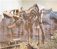 ديناصورات مجهولة الهوية.. أبرزها في تشيلي
