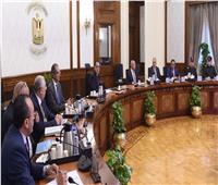رئيس الوزراء يتابع جهود التوسع في استصلاح وزراعة الأراضي الصحراوية 